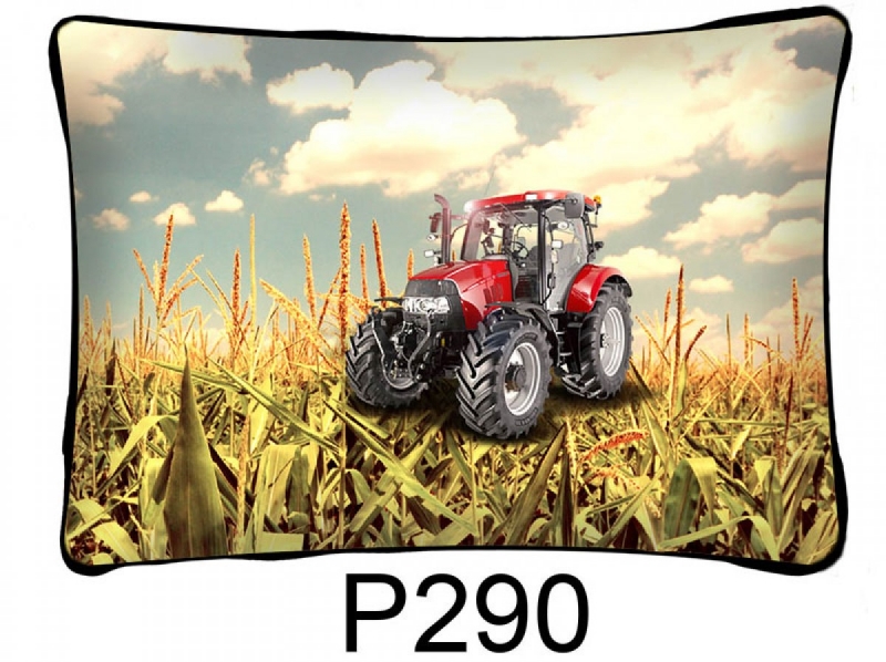 Párna P290 Téglalap