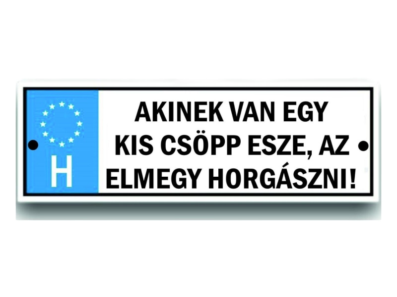 Rendszám Akinek van egy kis...